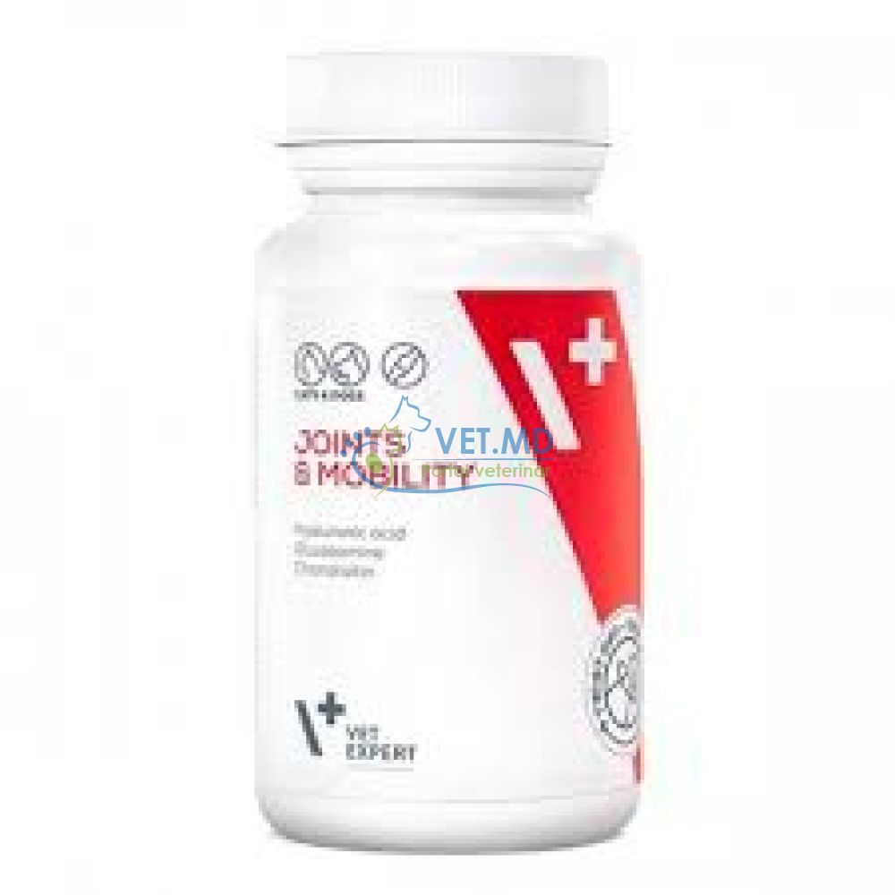 JOINT & MOBILITY